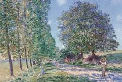 50
