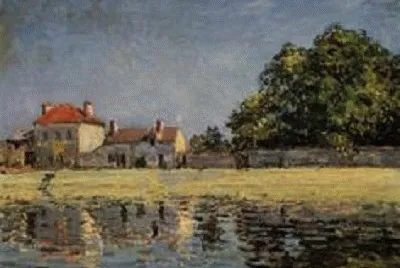 81