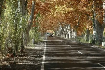 Por las rutas de Mendoza. Argentina