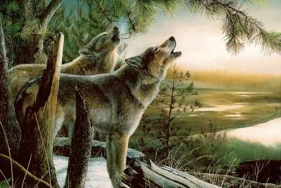 animales
