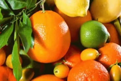 FRUTAS