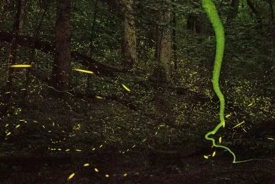 tenesse national geographic