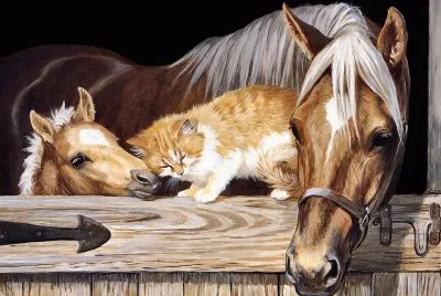 animais