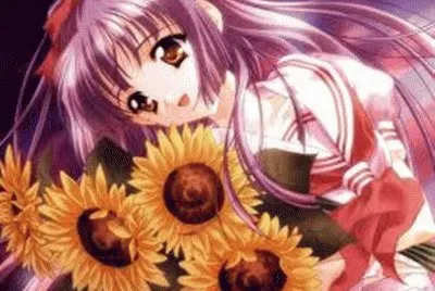 flores
