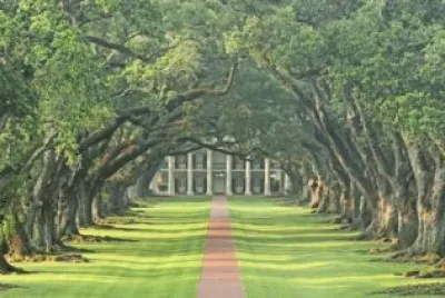 ROBLES. jigsaw puzzle