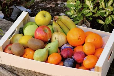 פאזל של Fruita