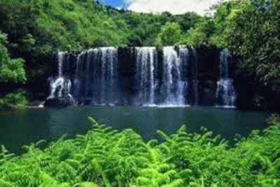 natureza