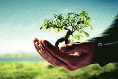 NATUREZA