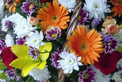 פאזל של Flors