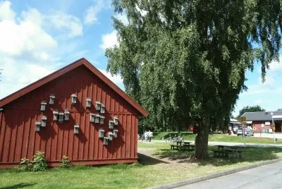 Barn with nest boxes Sweden