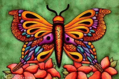 Beauty Butterfly