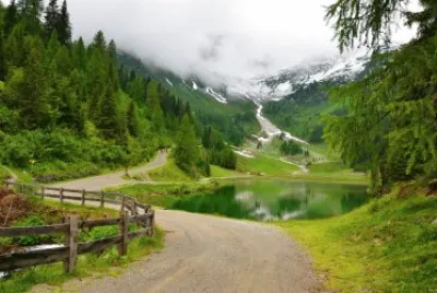 פאזל של naturaleza