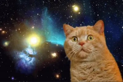 פאזל של gato espacial