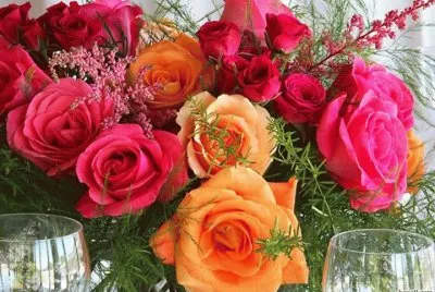 Rosas 1
