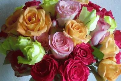 Rosas 2
