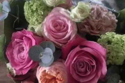 Rosas 7