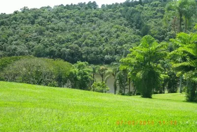 VegetaÃ§Ã£o Mata AtlÃ¢ntica jigsaw puzzle