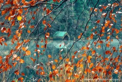 NÂº 549 jigsaw puzzle