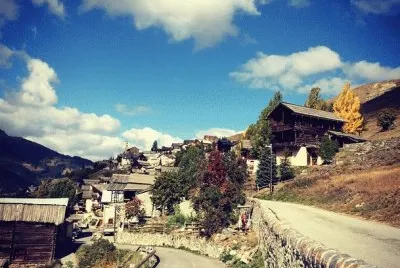 NÂº 738 jigsaw puzzle