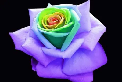 flor