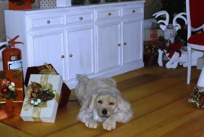 Esperando la Navidad