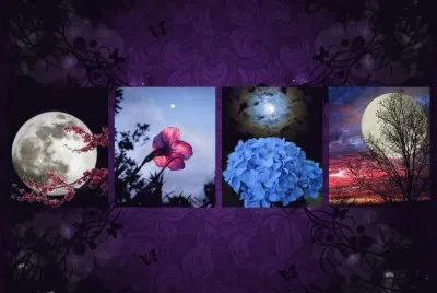 Lunas