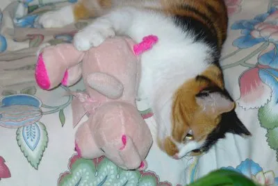 She plays jigsaw puzzle