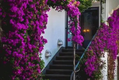 NÂº 752 jigsaw puzzle