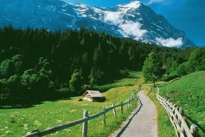NÂº 555