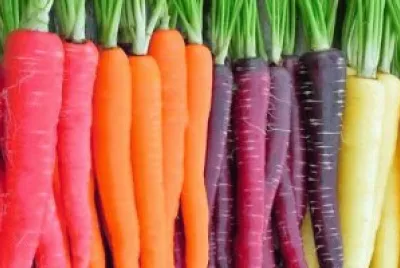 Zanahorias de colores