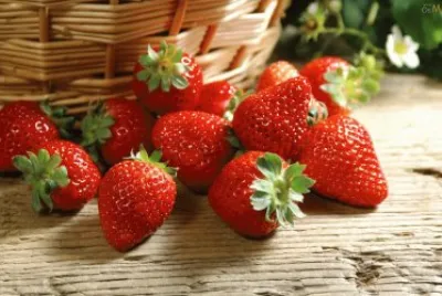 frutillas