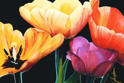 Tulips Black