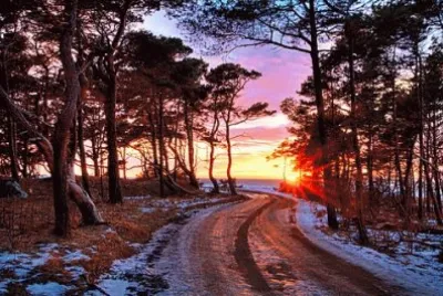 Eksatkusten Gotland. Suecia