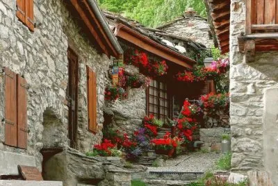 NÂº 558 jigsaw puzzle