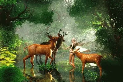 animales