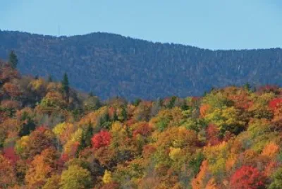 Smoky Mountain fall foliage