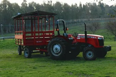 Pasear por el campo