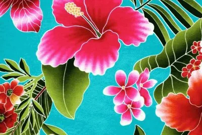 Hawaiian Print