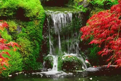cascada jigsaw puzzle