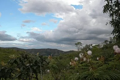 Cerrado Brasileiro