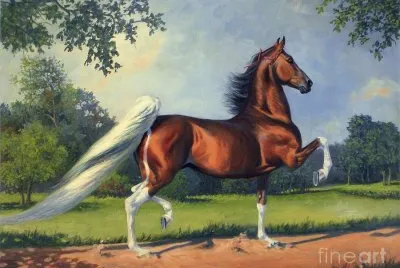 פאזל של cavalo