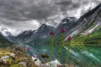fiordo jigsaw puzzle