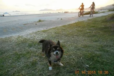 Nick na Praia