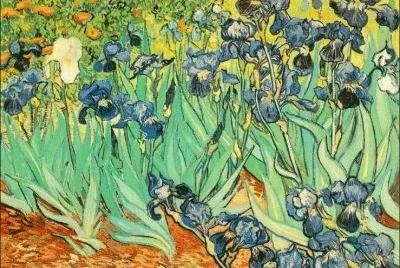 Vincent Van Gogh