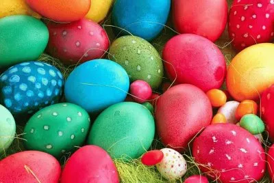 Lovely Eggs