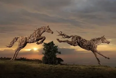 Amazing Driftwood Sculptures