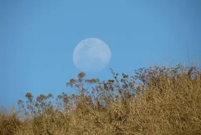 Lua Cheia