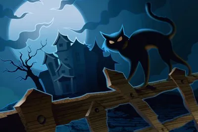 The Cat