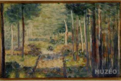 80