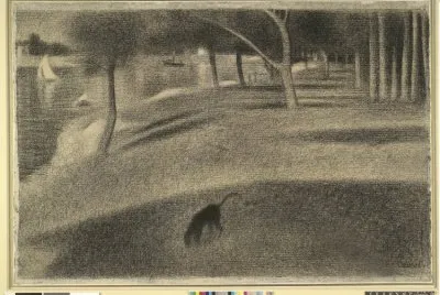 81